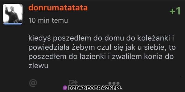 Jak w domu