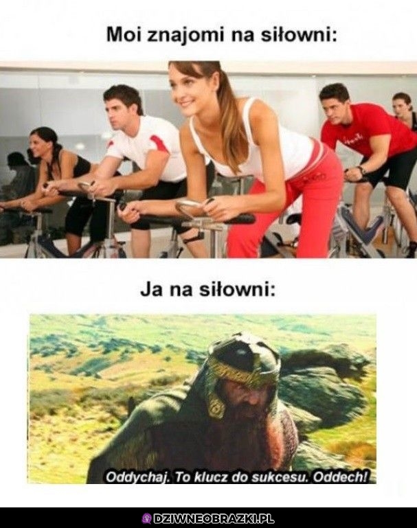 Na siłowni