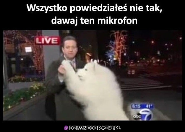 Oddawaj