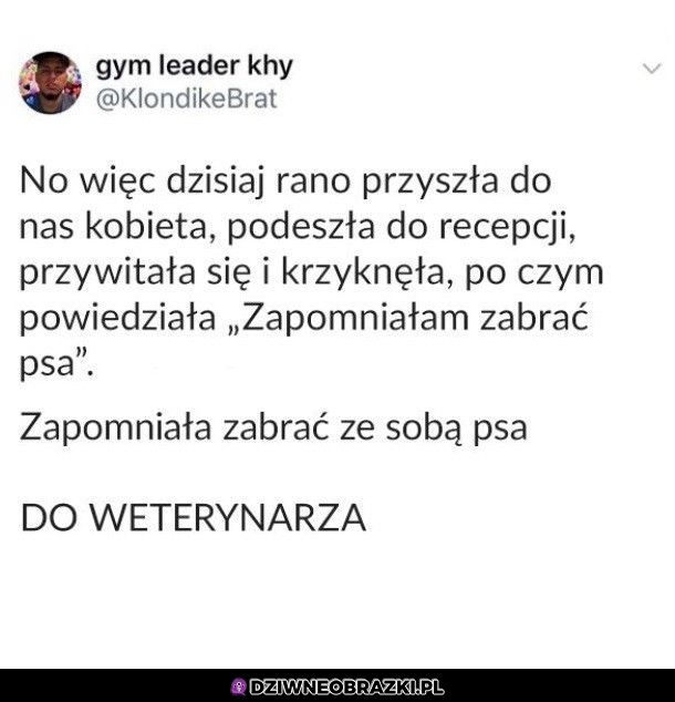Zapominalska babka