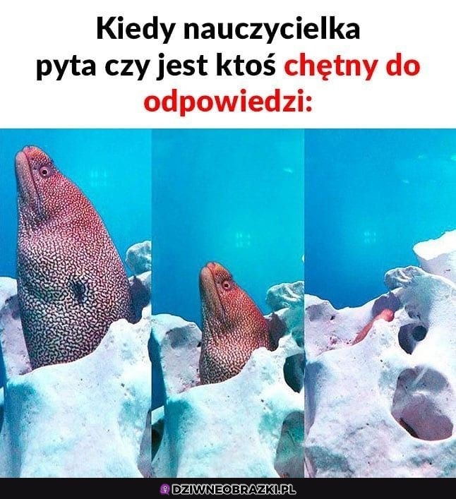 Ten moment