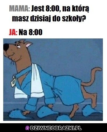 No i?