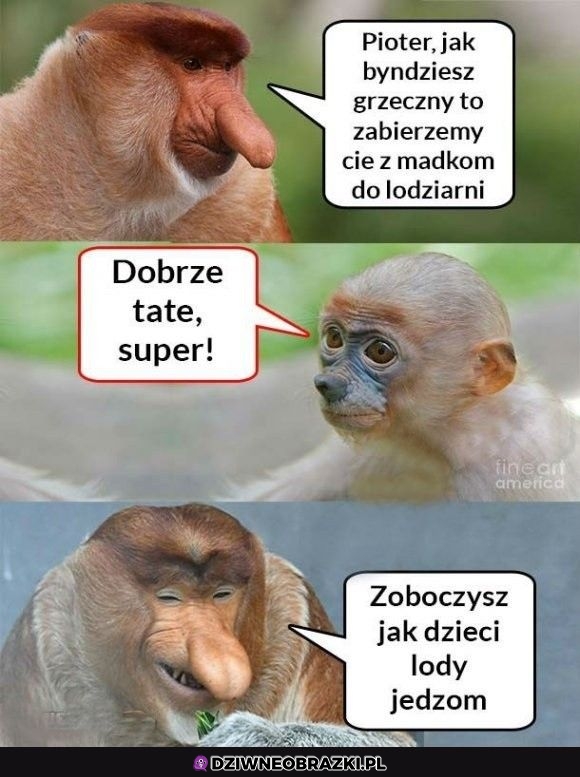 Będzie nagroda