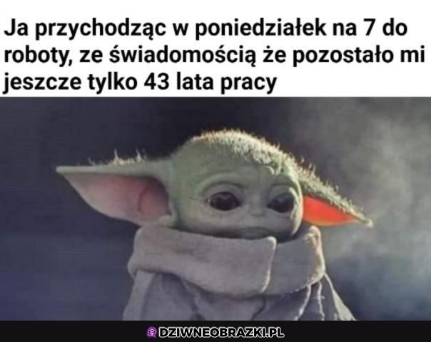 To ja