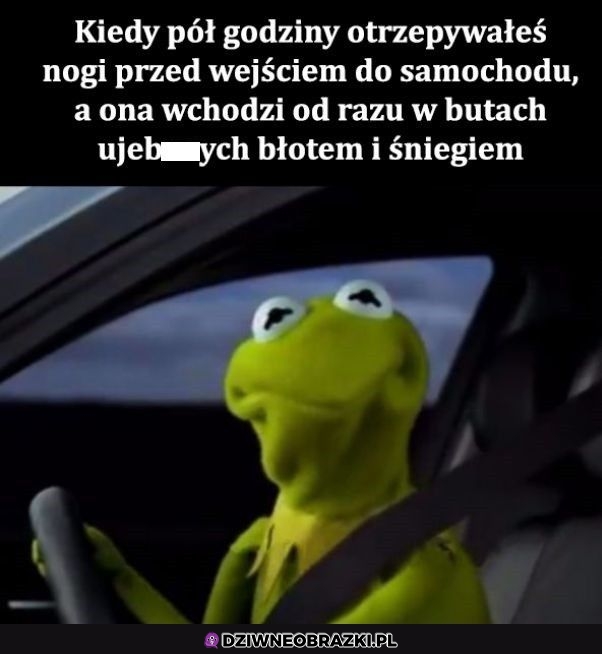 Ten moment