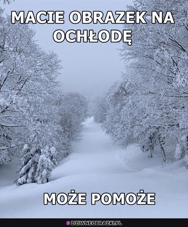 Trzymajcie Trzymajcie