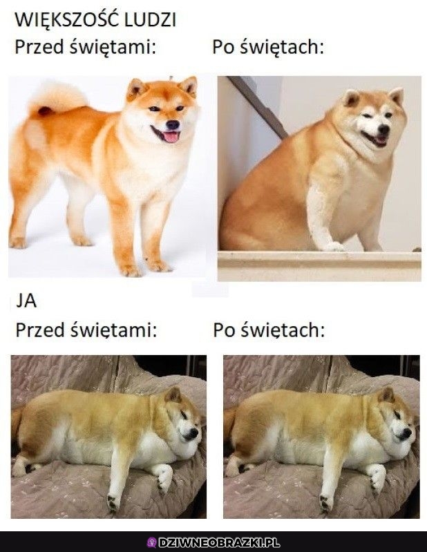 Bez różnicy