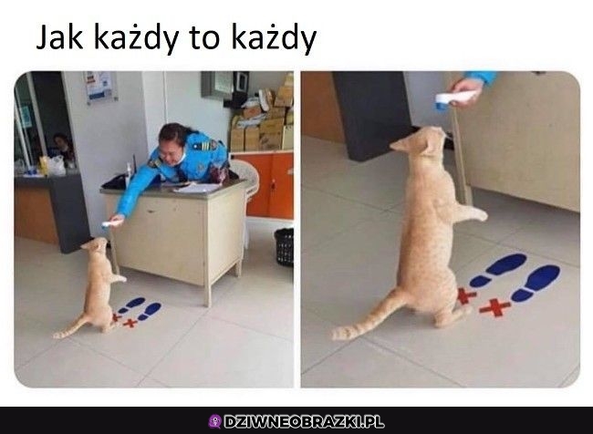 No niestety każdy