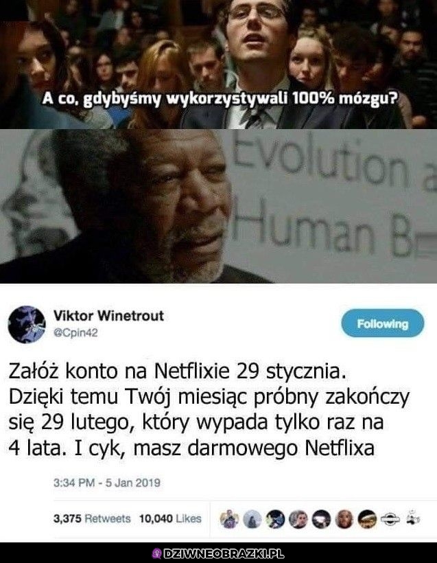 100% mózgu