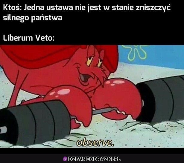 To patrzcie
