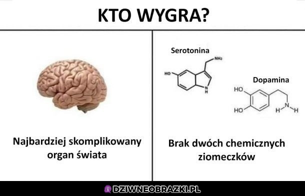 Kto wygra?