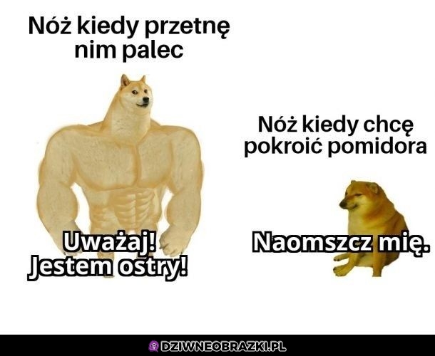 Noże takie sa