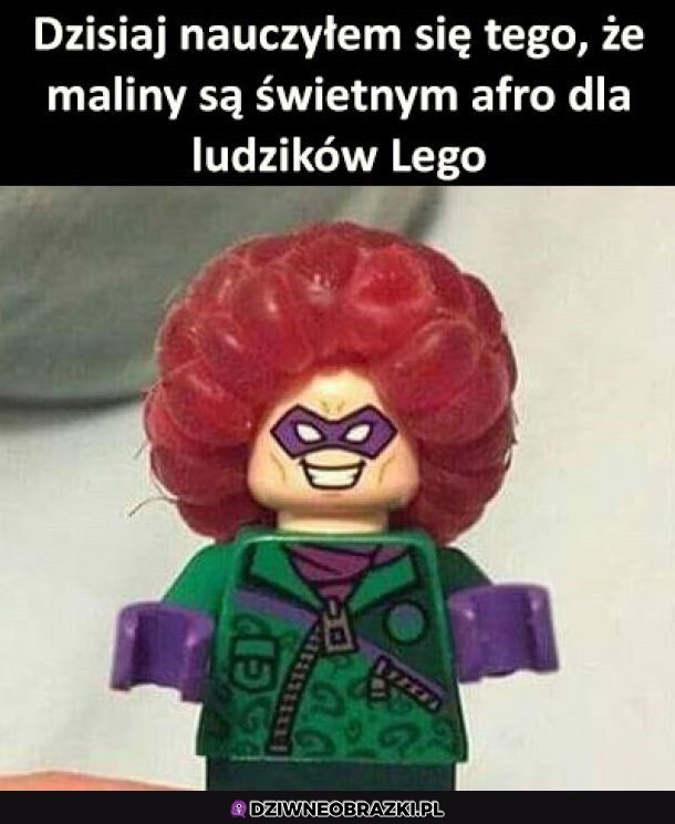 Nowe zastosowanie malin