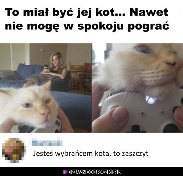 Jej kot