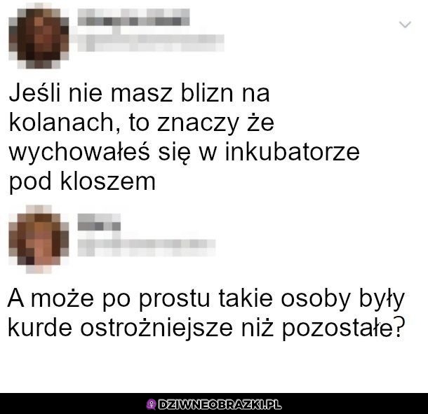 Wyznacznik życia