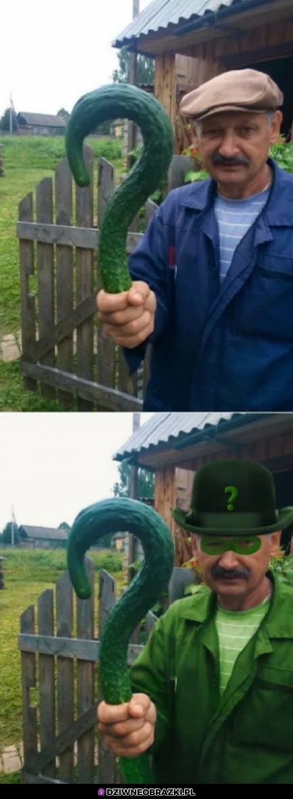 Ogóreczek Ogóreczek