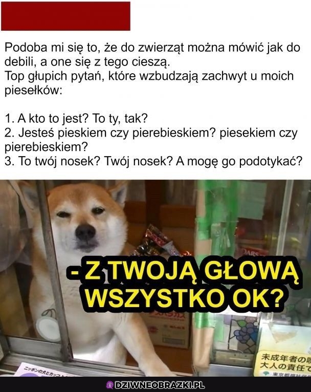 Ten moment