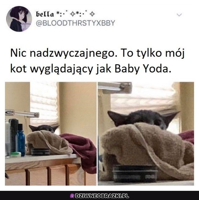 Podobny