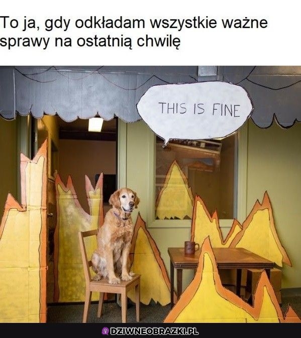 To ja