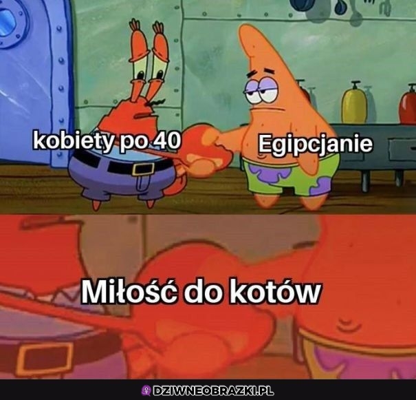 To mają wspólne