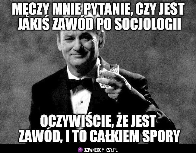 Zawód po sociologii