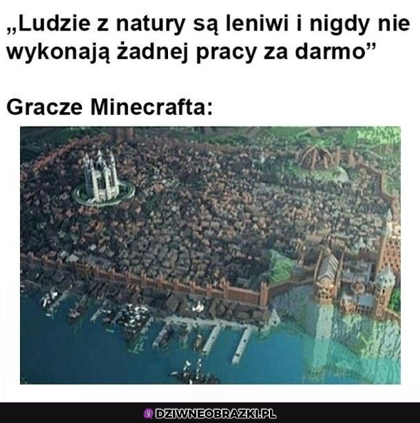 No nie tacy leniwi