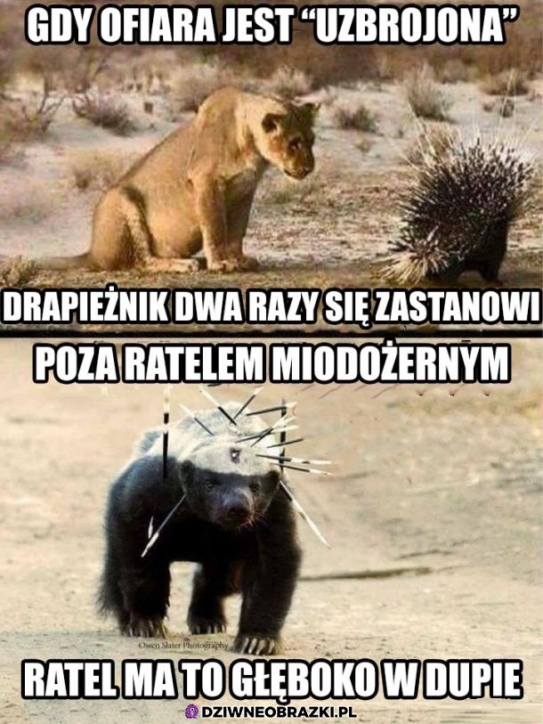 Tak trzeba żyć