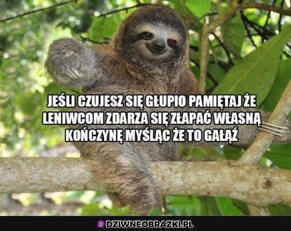 I spaść