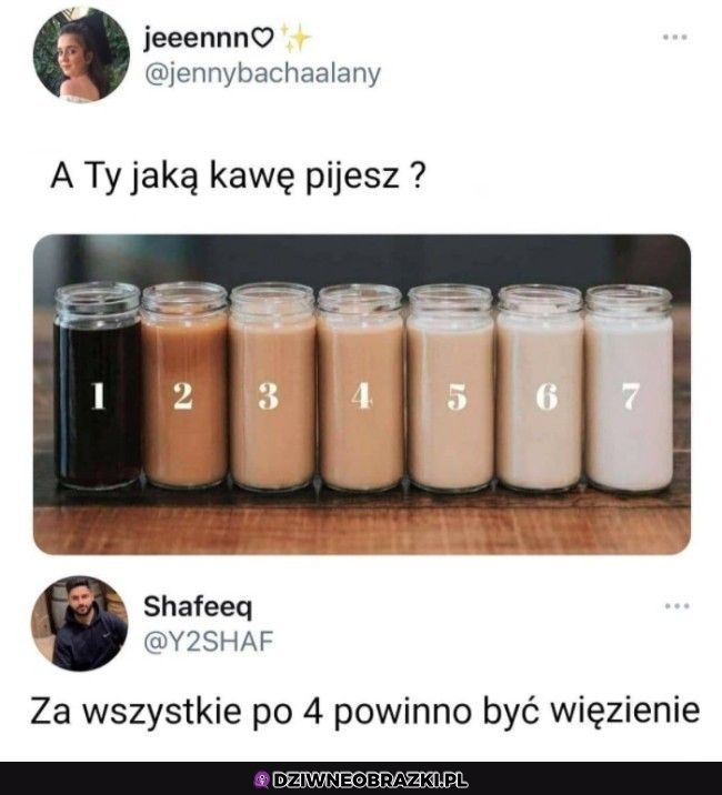 Bez kitu tak