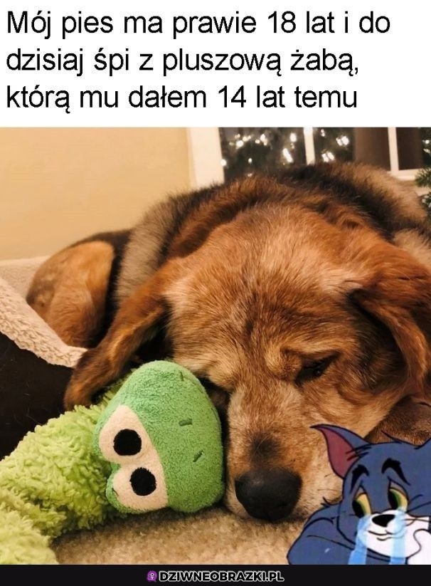 Aww