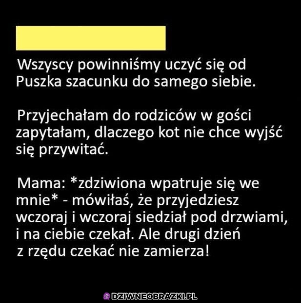 Ma swoją godność