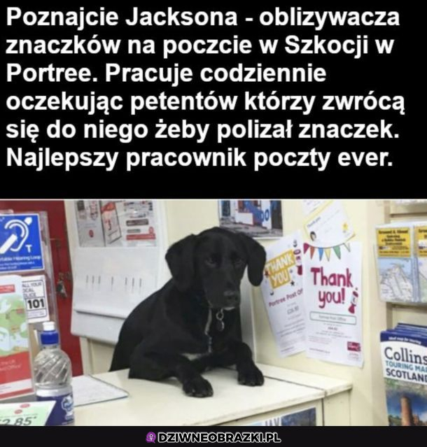 Jedyny pracownik poczty, któremu zależy 