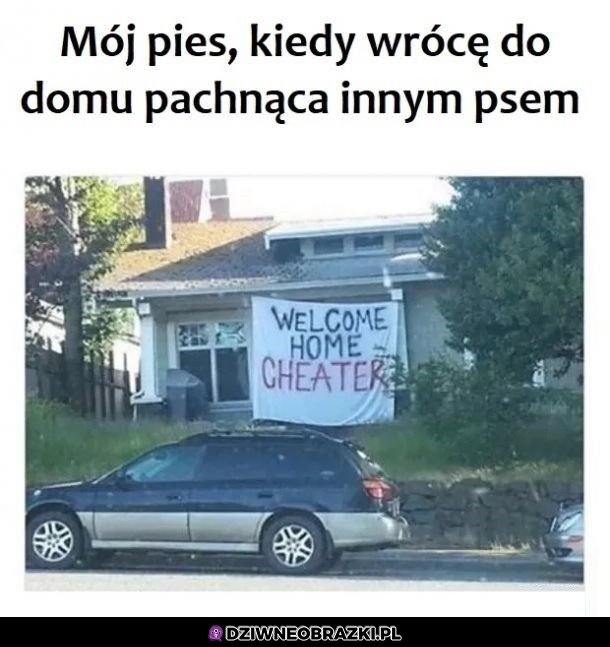 Mój pies wtedy