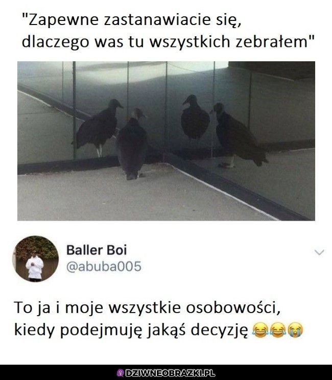 Zebranie