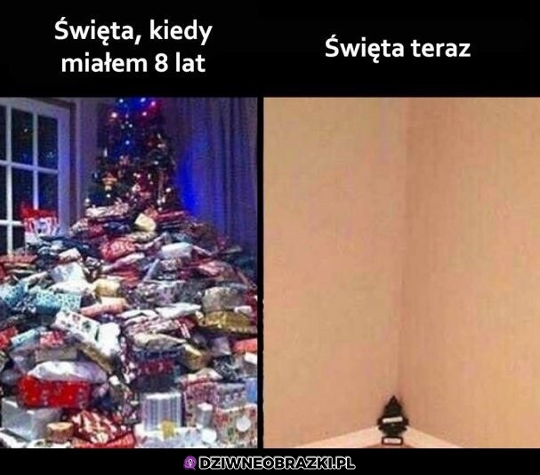 Bez kitu