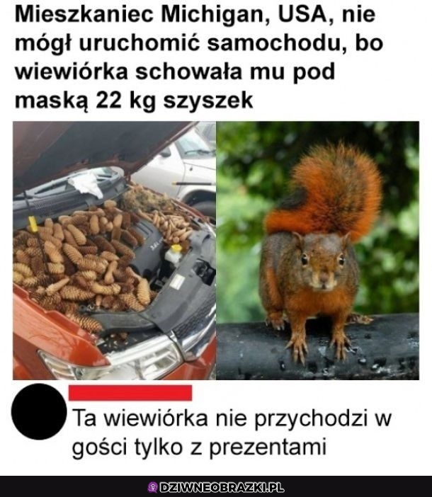 Zasypane