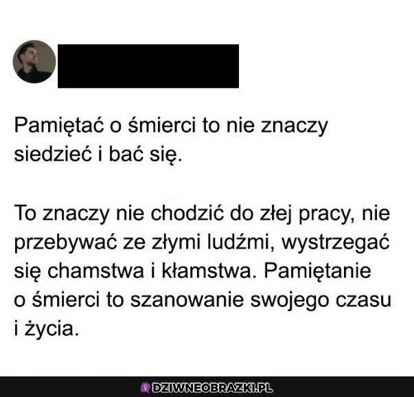 Właśnie to!