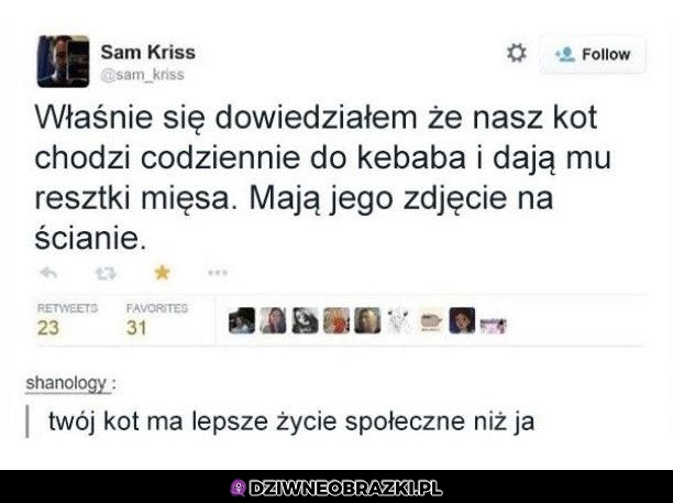 Społeczne kitku