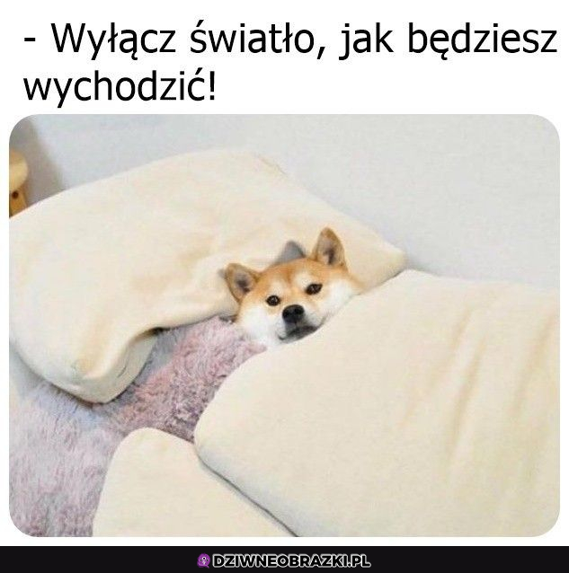 Zgaś je