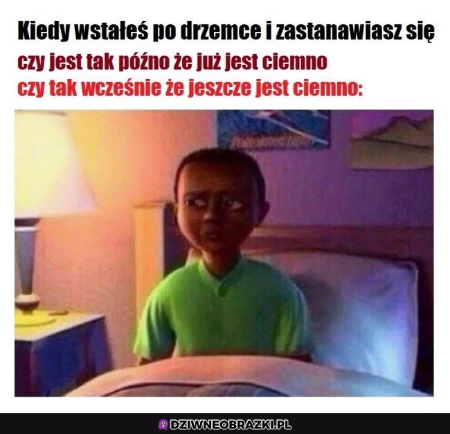 Bez kitu