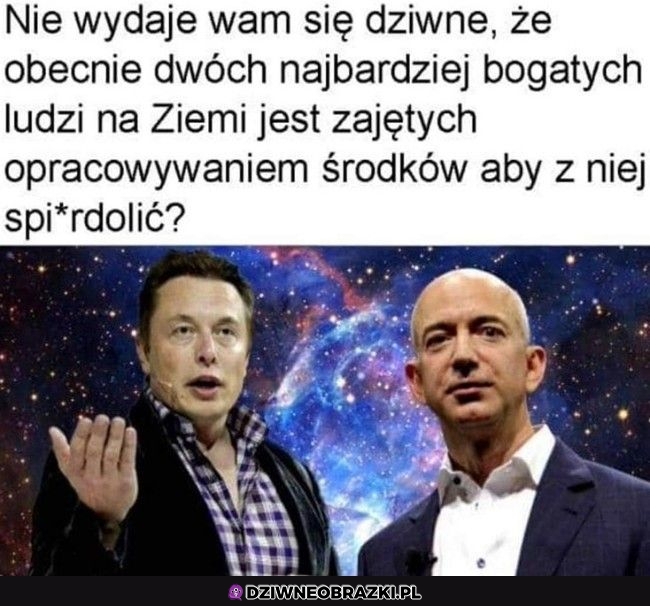Absolutnie normalne