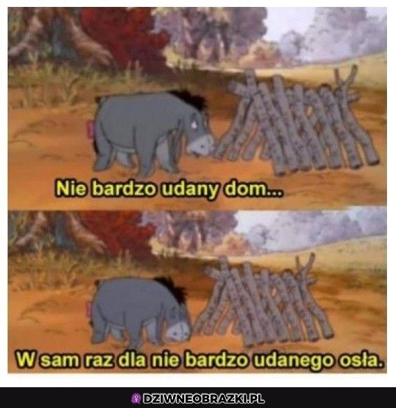 Każdy z nas jest czasem Kłapouchym