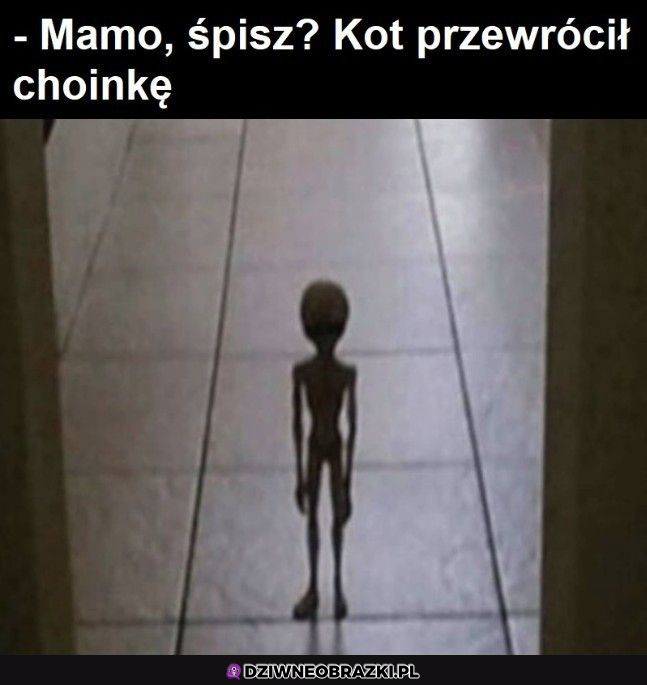 Mamo śpisz?