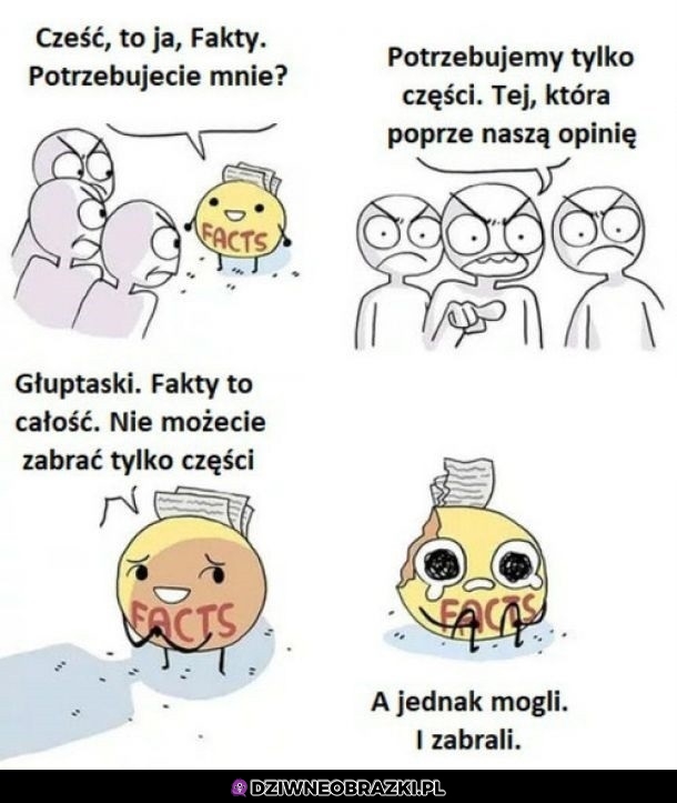 Fakty