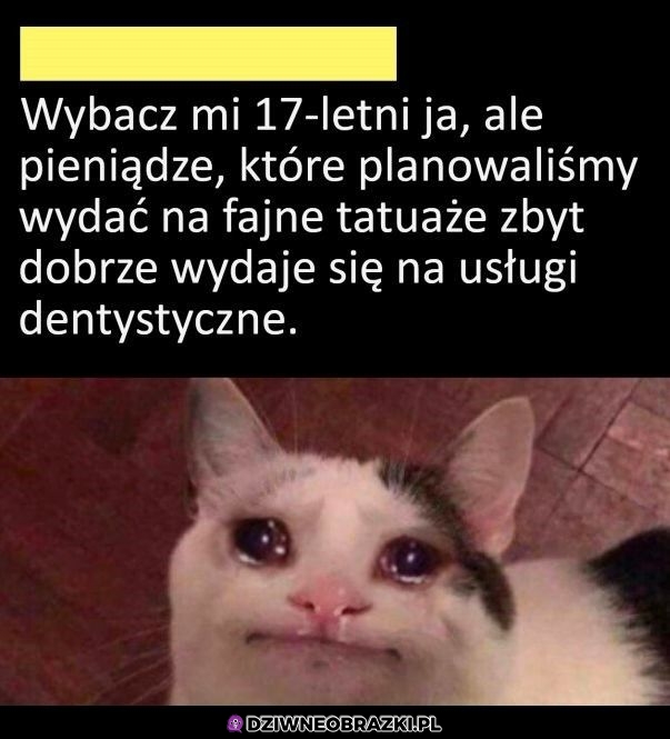Wybacz byku