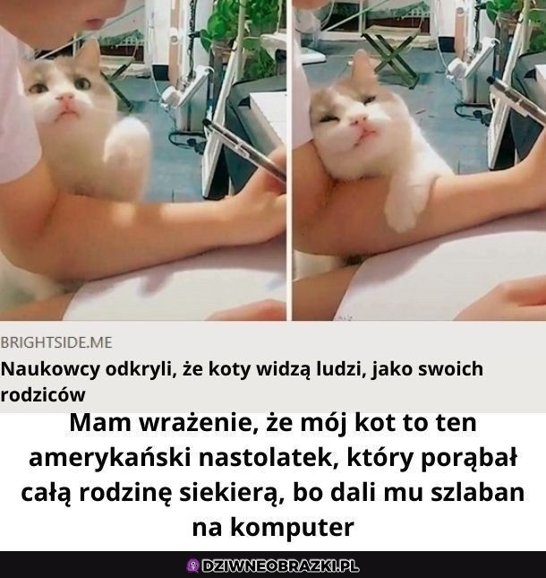 Moj czasem też