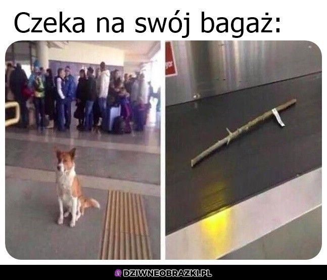 Ważna przesyłka