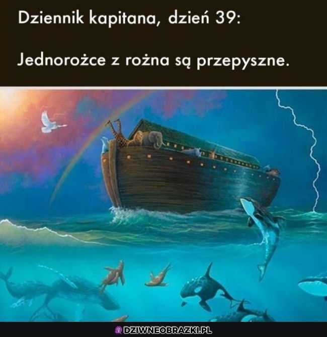 A więc to dlatego