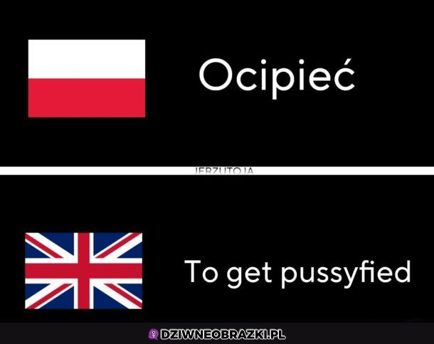 Tłumaczenie
