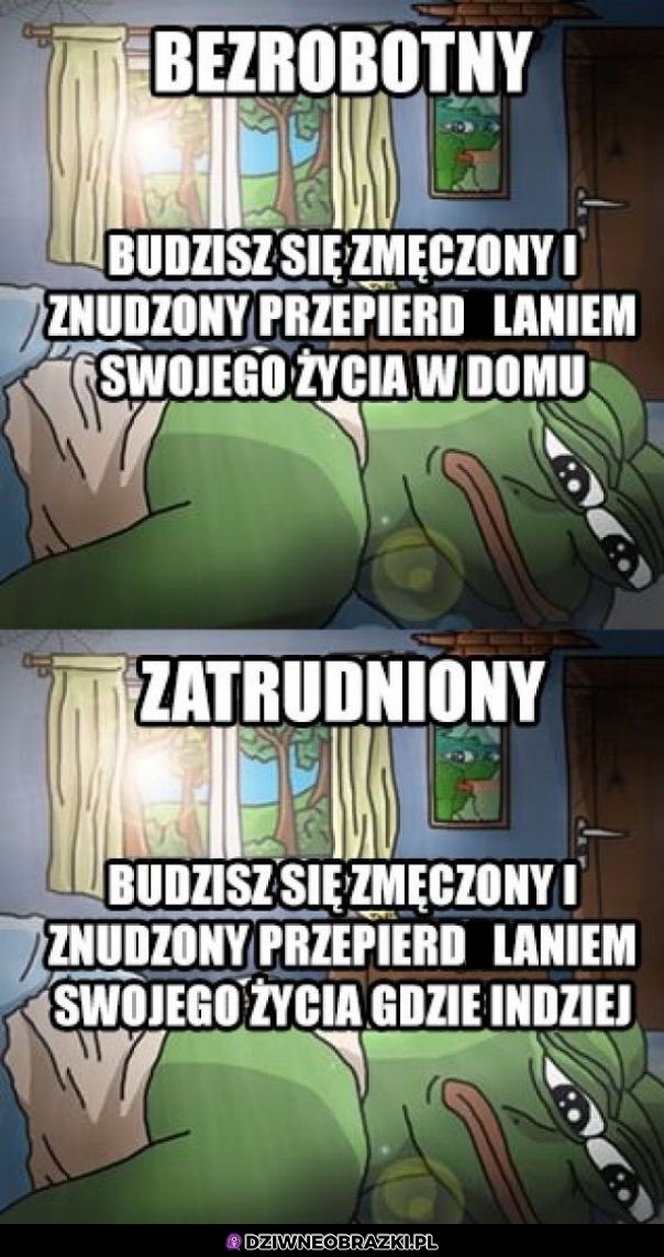 Jedyna różnica w portfelu